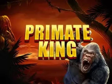 Spinanga Casino screenshot